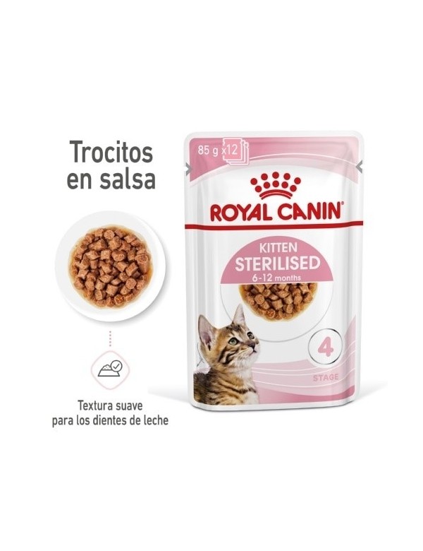Royal Canin Sterilised, Comida Húmeda para gatos - Piensoymascotas Formato  Pack 12 x Bolsa de 85 gr