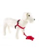 PETSAFE Arnes Easy Walk Rojo con Correa