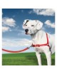 PETSAFE Arnes Easy Walk Rojo con Correa