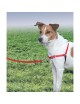 PETSAFE Arnes Easy Walk Rojo con Correa