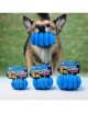 DOGGY MASTERS Mordedor Dispensador Fuerte Azul