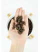 LENDA Puppy 12 Kg + REGALO 3 Latas Grain Free